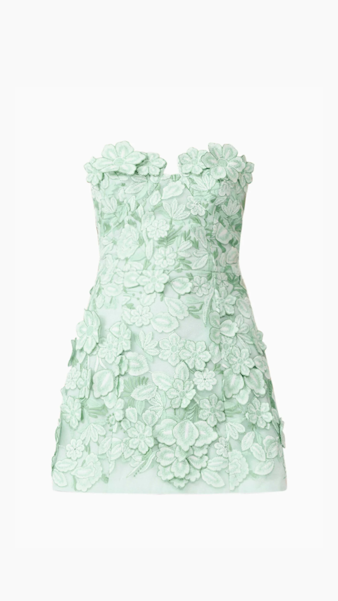 Elliatt - Roseate Strapless Maxi Dress