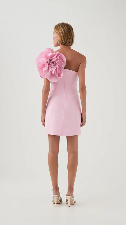 AJE - Florence Mini Dress