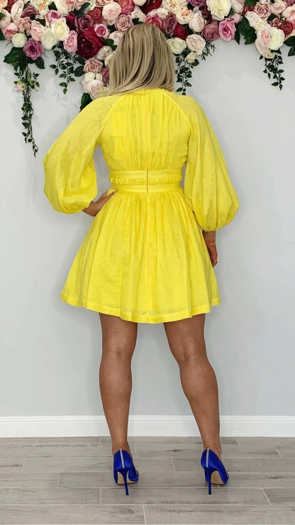 Zimmermann - Shelly Plunge Bow Mini Dress